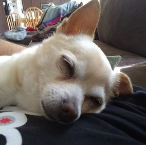 Meet your Posher, Sergio